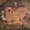 Caja con seis bombas de semillas de flores
