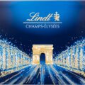 bombones lindt champs elysees 469g