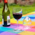 set de 2 copas de vino para llevar